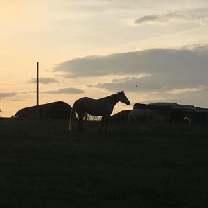 Meet your Posher, Nikki